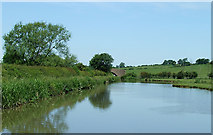 SP5366 : Oxford Canal near Braunston, Northamptonshire by Roger  D Kidd