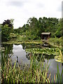 Burnby Hall Gardens