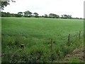 Carclunty Townland