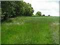 Killycowan Townland