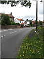 View north along the B1149 (Norwich Road)