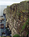 NC1248 : Sea cliffs under Sithean Mor, Handa by Tom Richardson