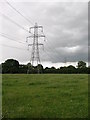 Pylons, from Delf Lane