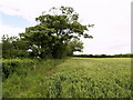 Public Footpath