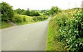 The Gargarry Road near Ballyward