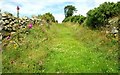 Rock Lane near Castlewellan (2of5)