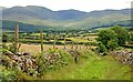 Rock Lane near Castlewellan (3of5)