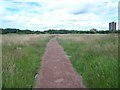 Clayhanger Common