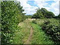 Course of Disused Railway, Norton Canes