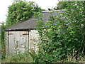 Cat on hot tin roof, Nr Llantrithyd.