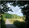 Norton Bottom and Norton Hill near Bishopstone