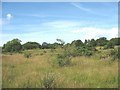 Cors Rhosddu marshland