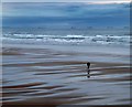 NZ6621 : Lone jogger by Steve  Fareham