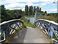 Anglesey Foot Bridge