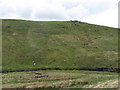 NY6876 : Sheep pen on the west bank of the River Irthing by Mike Quinn