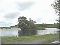 Llyn Edna - a 5 acre fishing lake near Parc Newydd