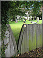 Footpath through a churchyard