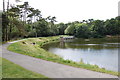 Reservoir in Alexandra Park