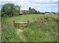 Riverside path on Bartonsham Farm - 2