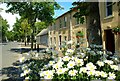 Floral display, Killough