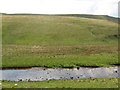 NY6876 : The valley of the River Irthing (8) by Mike Quinn