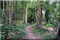 Footpath near Lingfield, Surrey