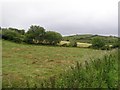 Derrytrasna Townland