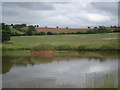 Pond in a field