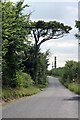 The road to Stratton Hall and Levington