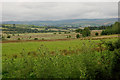 Fields west of the Camddwr