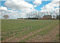 Clifton Road farmland