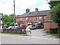 The Horse and Groom, Woodgreen