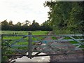 Farm track and gate, Nr Wick