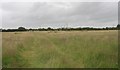 Footpath across the fields in the direction of the Industrial Estate