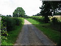 Footpath and private road to Tilden Farm