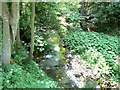 Annaty burn in Scone Den