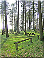 Picnic area by Blakeshall car park, Kingsford Forest Park