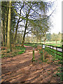 Start of Horse Route, by Blakeshall car park, Kingsford Forest Park