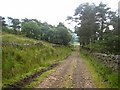 The old Alston to Hexham road