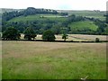 NY7754 : Looking across West Allendale by Oliver Dixon