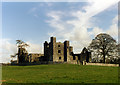 N8560 : The ruins of Bective Abbey by Row17
