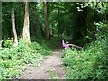 Permissive footpath near Old Wardour Castle