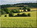 Farmland, Bledlow