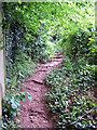 Footpath between Babbacombe Road and Windsor Road