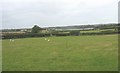 Farmland between the B 5109 and the Cefni Reservoir