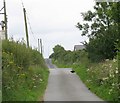 Undulating lane with resident cat