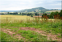 SO4835 : Farmland near Knockerhill Wood by Pauline E