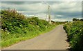 The Ballytrustan Road near Raholp