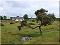 The view looking SSE from close to the Gors Fawr  stone circle