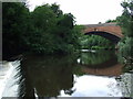 Bridge and weir